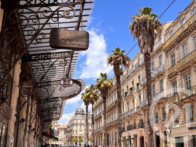 appartement - MONTPELLIER - 34
