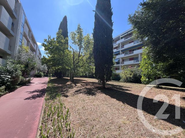 appartement - MONTPELLIER - 34